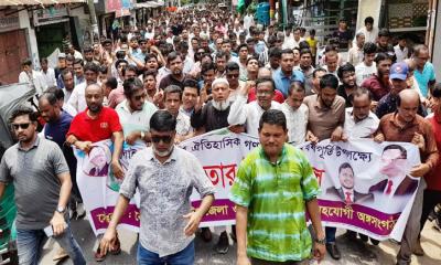 গণ-অভ্যুত্থানের বর্ষপূর্তিতে বোয়ালখালীতে বিএনপির আনন্দ মিছিল