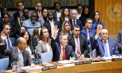ট্রাম্পের গাজা পরিকল্পনা জাতিসংঘের নিরাপত্তা পরিষদে গৃহীত