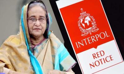 শেখ হাসিনাকে ফেরাতে ইন্টারপোলে আবেদনের প্রস্তুতি
