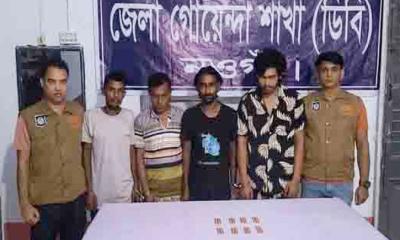 মান্দায় ডিবি পুলিশের অভিযানে ট্যাপেন্টাডল ট্যাবলেটসহ গ্রেপ্তার ৪