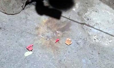 ফ্যাসিবাদের প্রামাণ্যচিত্র প্রদর্শনকালে টিএসসিতে দুই ককটেল বিস্ফোরণ