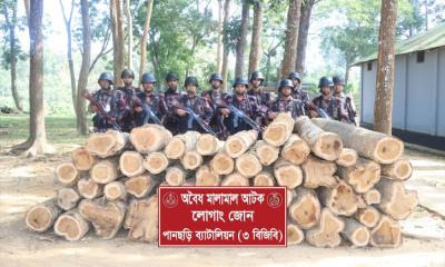 পানছড়িতে অবৈধ সেগুন কাঠ জব্দ