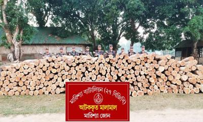 বাঘাইছড়িতে ৯ লাখ টাকার অবৈধ সেগুন কাঠ আটক