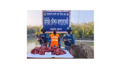 ১০০ কেজি হরিণের মাংস ও ৪ হাজার মিটার ফাঁদ জব্দ
