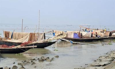 চাঁদপুরের মেঘনায় অবৈধ জালে পোনা নিধনের মহোৎসব, হুমকিতে মৎস্য সম্পদ
