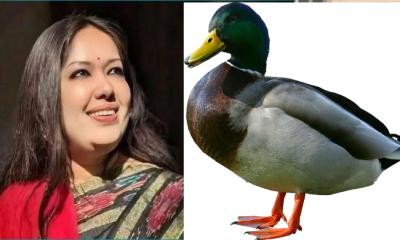 ‍‍‘হাঁস‍‍’ প্রতীক পেলেন রুমিন ফারহানা