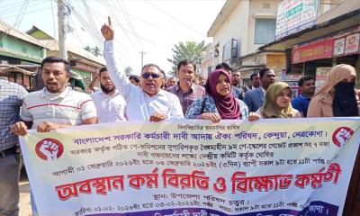 কেন্দুয়ায় সরকারি কর্মচারীদের কর্মবিরতি