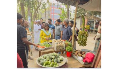 বোয়ালখালীতে পৃথক অভিযানে মাদকসহ বাজার মনিটরিং ও জরিমানা