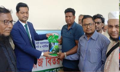 সালথায় পাটবীজ বিতরণ