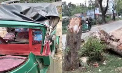 বড়লেখায় চলন্ত অটোরিকশায় গাছ পড়ে নারীর মৃত্যু, আহত স্বামী