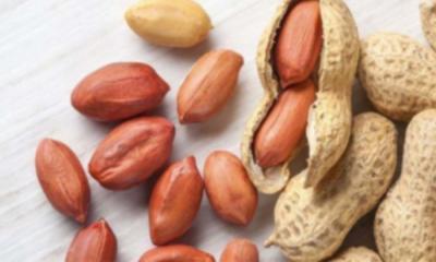 চিনাবাদাম ভালো রাখার উপায়