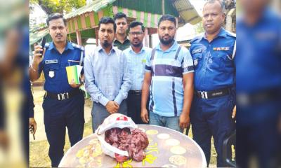 বন্যপ্রাণী হত্যার পর মাংস বিক্রি, কারাদণ্ড