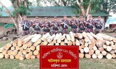 বাঘাইছড়িতে সেগুন কাঠ উদ্ধার, বাজারমূল্য প্রায় ৪ লাখ