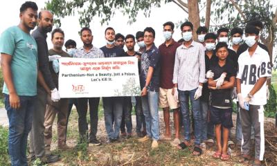‘পার্থেনিয়াম’ সুন্দরের অন্তরালে মারাত্মক বিষ: স্বপ্নপুরের সচেতনতা কার্যক্রম