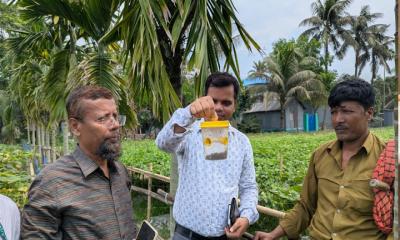 সংবাদ প্রকাশের পর শসা খেত পরিদর্শনে কৃষি কর্মকর্তারা