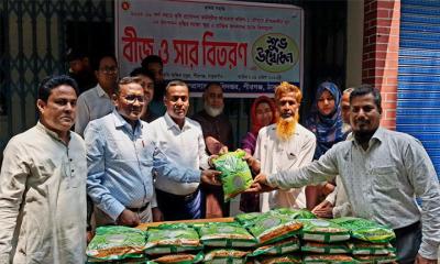 পীরগঞ্জে ২০০ জন কৃষকের মাঝে বিনামূল্যে মুগ ডাল বীজ ও সার বিতরণ