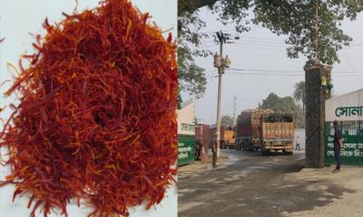 ভারত থেকে আনা চালানে জাফরান জব্দ, সোনা মসজিদে বড় চোরাচালান ধরা