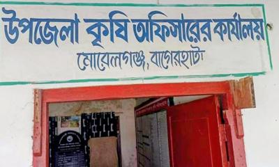 নানা অনিয়মে জর্জরিত মোরেলগঞ্জ কৃষি অফিস