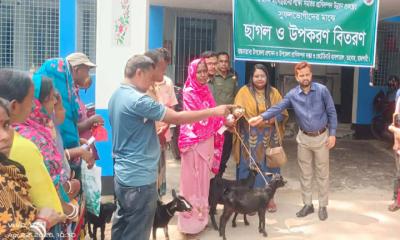 তানোরে ক্ষু্দ্র নৃগোষ্ঠীর নারী পুরুষের মাঝে বিনামূল্যে ছাগল বিতরণ