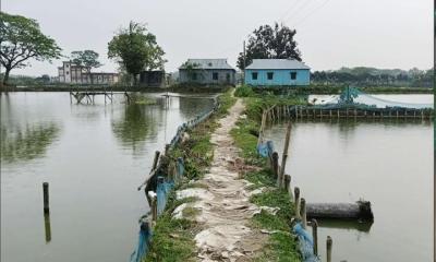 ফিসারির দখলে বিলীন সড়ক, ভোগান্তিতে গ্রামবাসী