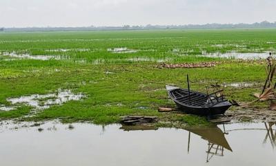 দীর্ঘ ২০ বছরেও হয়নি সেতু,হাজারো মানুষের একমাত্র ভরসা নৌকা