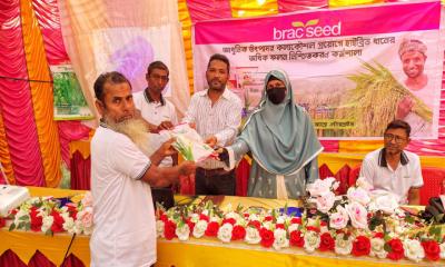 নাজিরপুরে ব্র্যাক সিডের উদ্যোগে কৃষক কর্মশালা, বিনামূল্যে বীজ বিতরণ