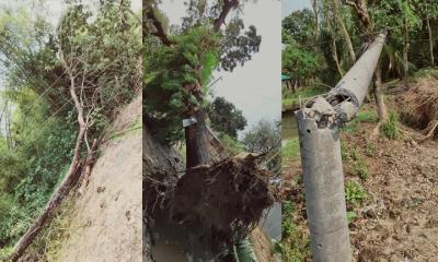 মৌলভীবাজারে ঝড়ে ছিঁড়ে গেছে ২২৫ জায়গার বৈদ্যুতিক তার, প্রায় ৩০ লাখ ক্ষতি
