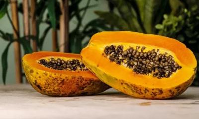কৃত্রিম পাকানো পেঁপে চেনার উপায়
