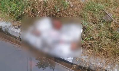 সদর হাসপাতালের অ্যাম্বুলেন্স গ্যারেজের পাশে নবজাতকের মৃতদেহ