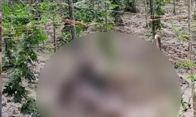 ফসলি জমিতে পড়ে ছিল যুবকের মরদেহ