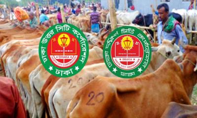 কোরবানির পশুর হাট নিয়ে যে সিদ্ধান্ত নিলো দুই সিটি