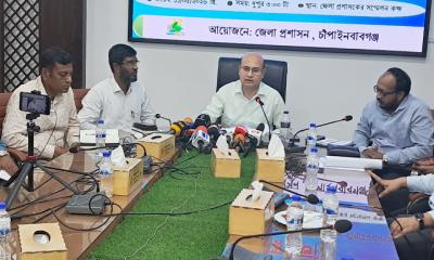 চাঁপাইনবাবগঞ্জে পরিপক্ক হলেই আমপাড়া যাবে, থাকছে না আম ক্যালেন্ডার