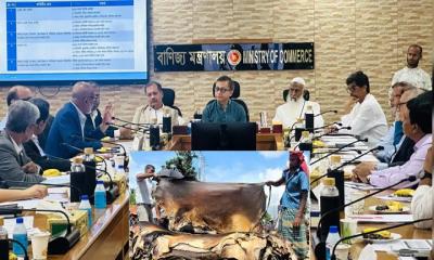 কাঁচা চামড়ার প্রতি বর্গফুট ৬২ থেকে ৬৭ টাকা নির্ধারণ