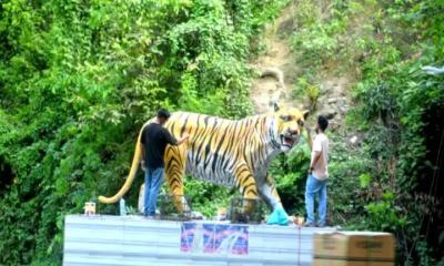 টাইগারপাসে ফিরেছে নতুন প্রাণ