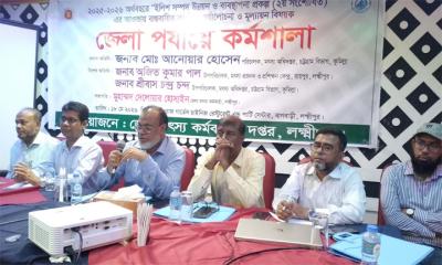 লক্ষ্মীপুরে ইলিশ  উন্নয়নে  কর্মশালা