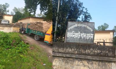 ডিজিটাল পদ্ধতিতে ধান কিনে সরকার, জানেন না গ্রামের কৃষক