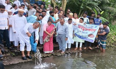 কোটালীপাড়ায় দেশীয় প্রজাতির মাছের পোনা অবমুক্ত