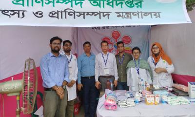 ঢাকা উত্তর-দক্ষিণের ২৯ হাটের ডিএলএসের বিনামূল্যে ভেটেরিনারি সেবা