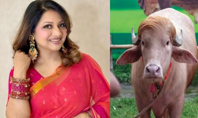 ‘ডোনাল্ড ট্রাম্প’কে নিয়ে  মুখ খুললেন আঁখি আলমগীর