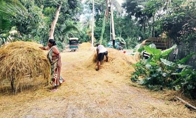 কালাইয়ে সড়কে ধান মাড়াই ও খড় শুকানোয় জরিমানা