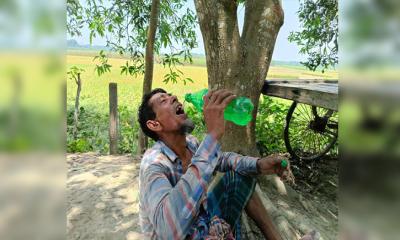 ৩৮ ডিগ্রিতে পুড়ছে  চুয়াডাঙ্গা