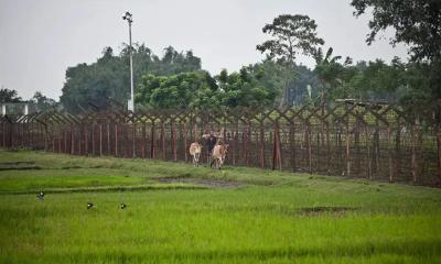 হিলি সীমান্তে ৫ ভারতীয় নাগরিককে পুশইনের চেষ্টা, রুখে দিলো বিজিবি
