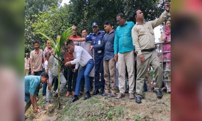 সবুজ বাংলাদেশ গড়তে পীরগঞ্জে বৃক্ষরোপণ কর্মসূচি শুরু