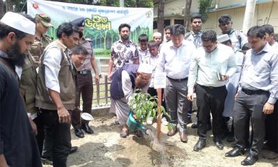 লক্ষ্মীপুরে বৃক্ষরোপন কর্মসূচি উদ্বোধন