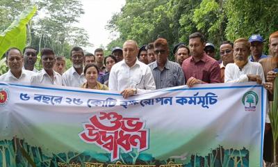 ২৫ কোটি বৃক্ষরোপণ কর্মসূচি: মুকসুদপুরে বৃক্ষরোপণের শুভ সূচনা