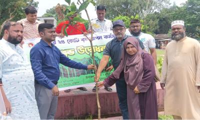 উলিপুরে বৃক্ষরোপণ কর্মসূচীর উদ্বোধন