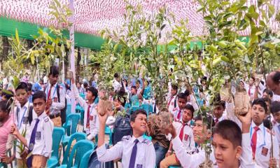 পঞ্চগড়ে বৃক্ষরোপণ কর্মসূচীর উদ্বোধন