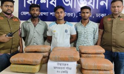 সাভারে ৪০ কেজি গাঁজাসহ তিন মাদক কারবারি গ্রেপ্তার