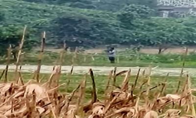 জামালপুরের সীমান্তে  পুশ ইনের চেষ্টা; বিজিবি ও স্থানীয়দের প্রতিহত
