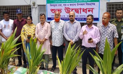 মুকসুদপুরে কৃষকের মাঝে নারকেল চারা ও সার বিতরণ